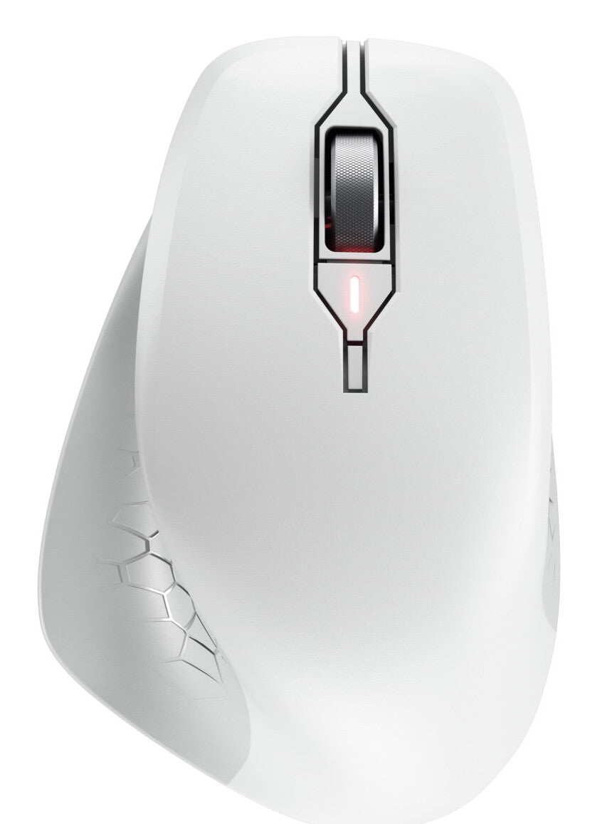 CHERRY JW-8550-0 souris Universel Droitier RF sans fil Optique 4000 DPI