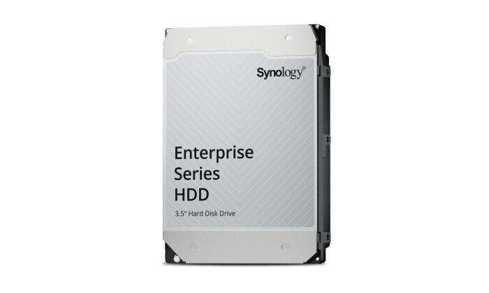 Synology Enterprise disque dur 20 To 7200 tr/min 512 Mo 3.5" Série ATA III