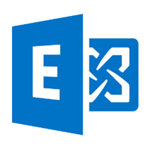 Microsoft Exchange Server Licence d'accès client 1 licence(s) Multilingue 1 année(s)