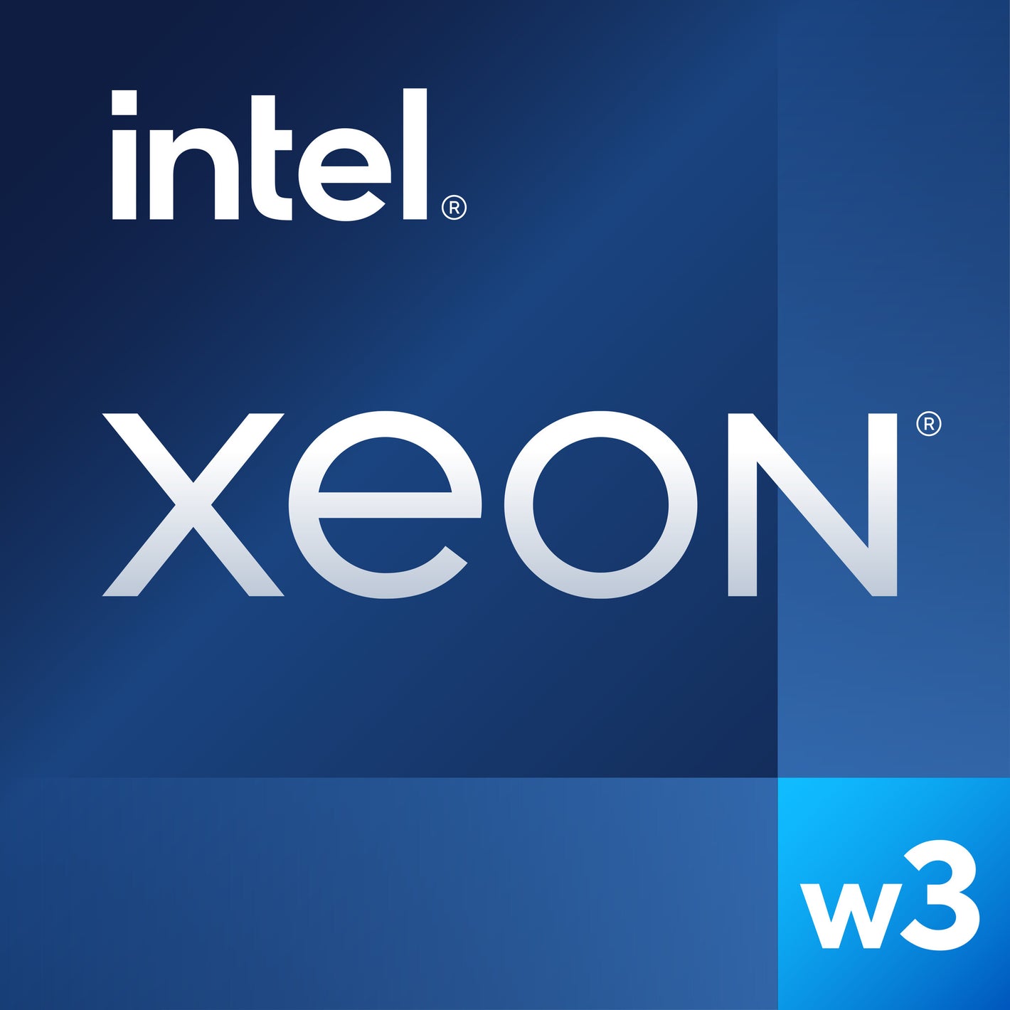 Intel Xeon w3-2435 processeur 3,1 GHz 22,5 Mo Smart Cache Plateau