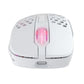 CHERRY XTRFY M4 RGB souris Gaming Droitier RF Wireless + USB Type-C Optique 19000 DPI
