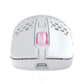 CHERRY XTRFY M42 RGB souris Gaming Ambidextre RF Wireless + USB Type-C Optique 19000 DPI