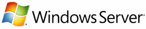 Microsoft Windows Server CAL, OLV-GOV, LIC/SA, 1u CAL, 1Y Aq Y1 Base de données Gouvernement (GOV) 1 licence(s)