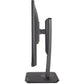 TERRA LCD/LED 2448W PV V3.1 schwarz HDMI/DP/USB-C/ GREENLINE PLUS_66631.jpg