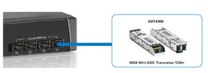 YY LevelOne Modul MiniGBIC SX/LC 550m_68469.jpg