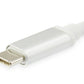 LevelOne Adapter USB-C - GBit-LAN USB-0402 V4_65963.jpg