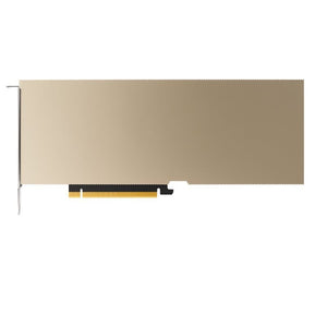 NVIDIA A10 Modul 24GB GDDR6+++_48475.jpg