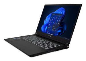 TERRA MOBILE GAMER ELITE 5v3 i9-14900HX W11P -FR_67903.jpg