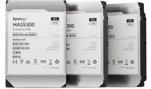 Synology HAS5300-12T disque dur 12 To 7200 tr/min 256 Mo 3.5" SAS