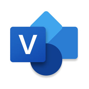 Microsoft Visio Professional 2021 Graphique Public Key Certificate (PKC) 1 licence(s) Allemand