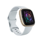 Fitbit Sense 2 Smartwatch blue mist/aluminium soft gold_61970.jpg