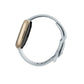 Fitbit Sense 2 Smartwatch blue mist/aluminium soft gold_61974.jpg