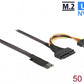 DeLOCK Adaptateur M.2 clé M vers U.2 SFF-8639 NVMe avec câble de 50 cm
