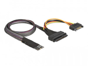 DeLOCK Adaptateur M.2 clé M vers U.2 SFF-8639 NVMe avec câble de 50 cm