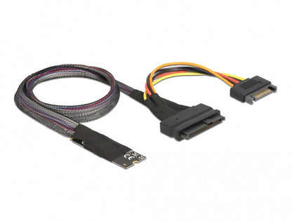 DeLOCK Adaptateur M.2 clé M vers U.2 SFF-8639 NVMe avec câble de 50 cm